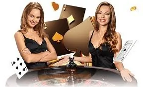 663com Blackjack Card Room